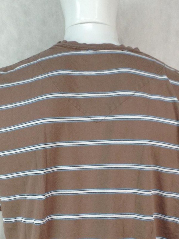 CAMISETA AVELÃ